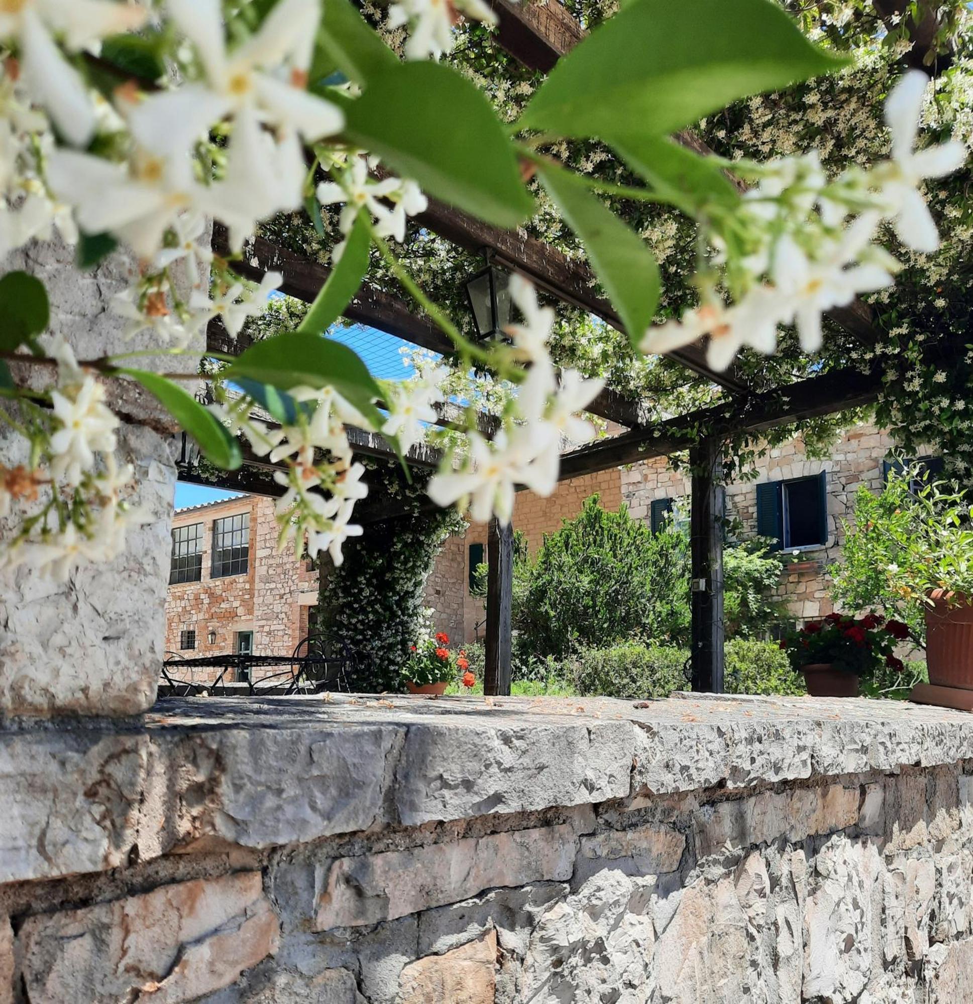 Agriturismo Tenuta Conti Faina 프라타토디나 외부 사진